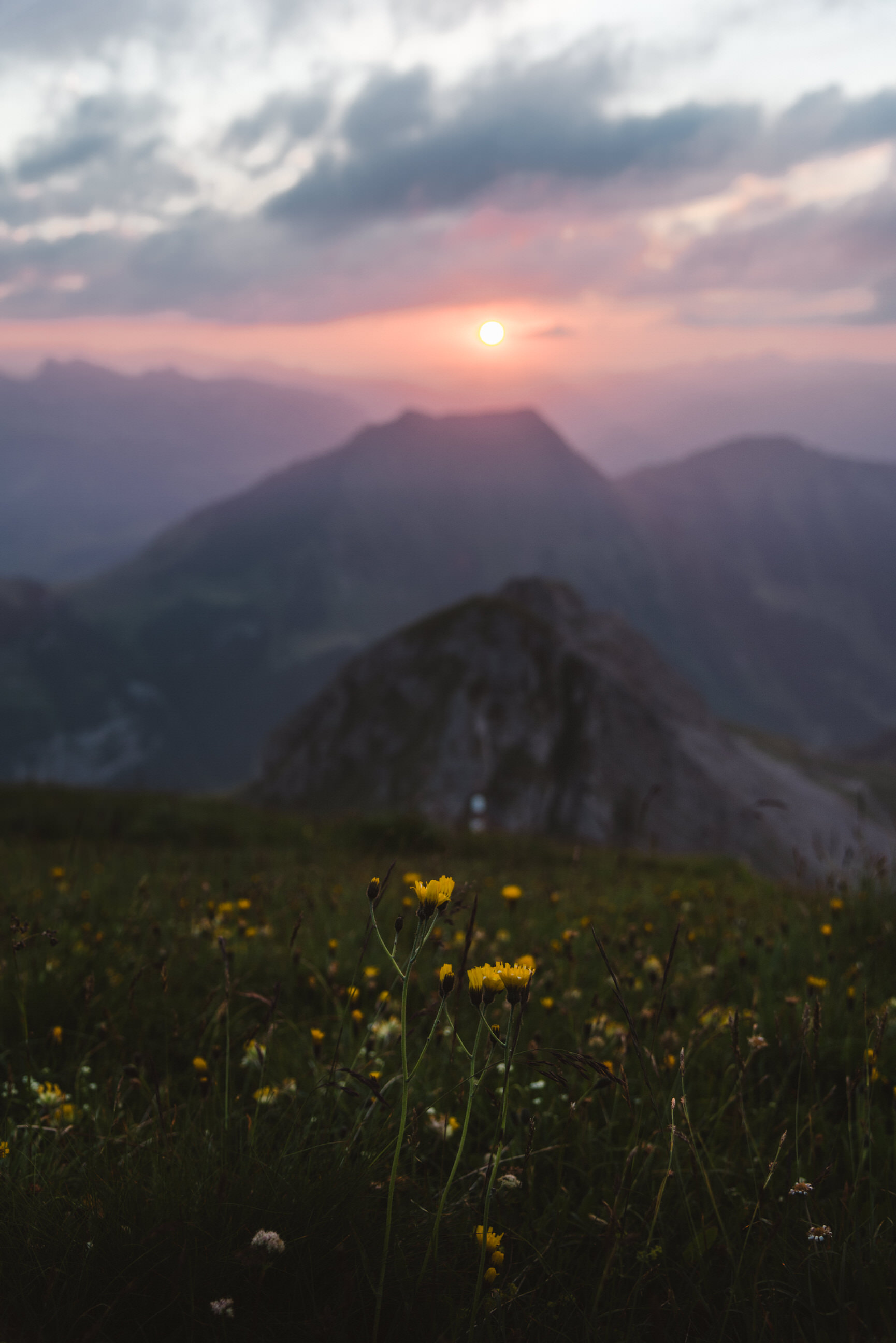 photo of summer sunrise
